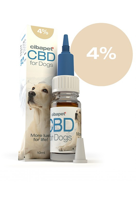 Huile de CBD 4% pour chiens