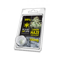 Terpsolator 99% CBD - Zitrone Haze - 100mg