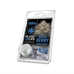 Terpsolator 99% CBD - Blueberry - 500mg