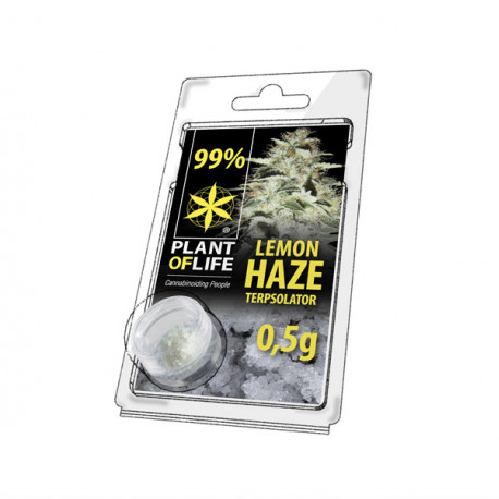 Terpsolator 99% CBD - Zitrone Haze - 500mg