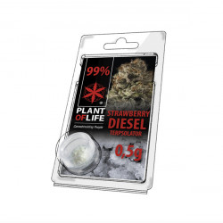 Terpsolator 99% CBD - Erdbeere Diesel - 500mg