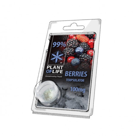 Terpsolator 99% CBD - Berries - 100mg