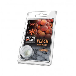 Terpsolator 99% CBD - Peach - 100mg