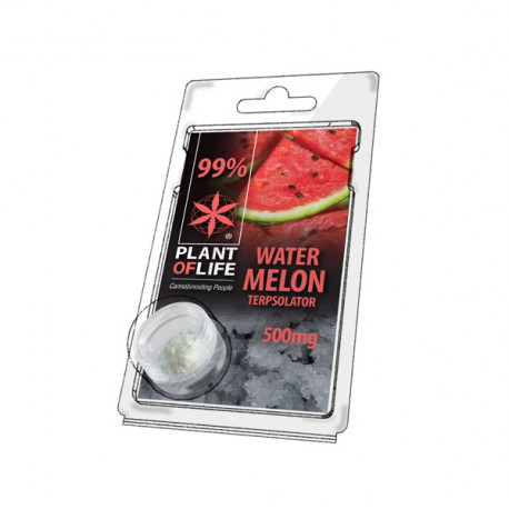 Terpsolator 99% CBD - Watermelon - 500mg