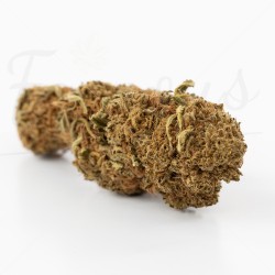 Fleur CBD Royal Gorilla 16,1%