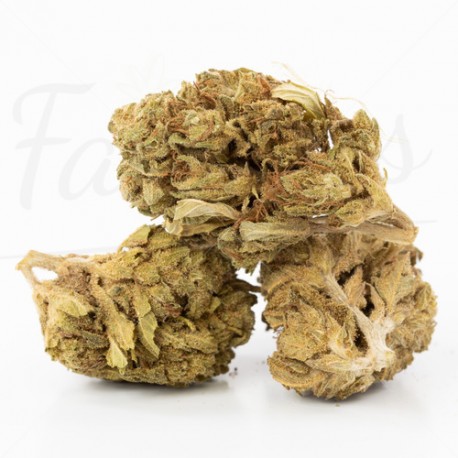 Fleur CBD Royal Cookies 16,9%