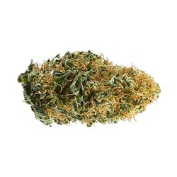 Alpine White CBD flower 22%