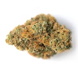 CBD-Blüte Orange Turbo 11,5 %