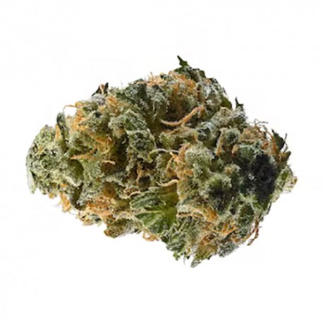 Fleur de CBD Ringo gift 24,7 %