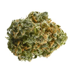 Fleur de CBD Big Bud 16,4 %