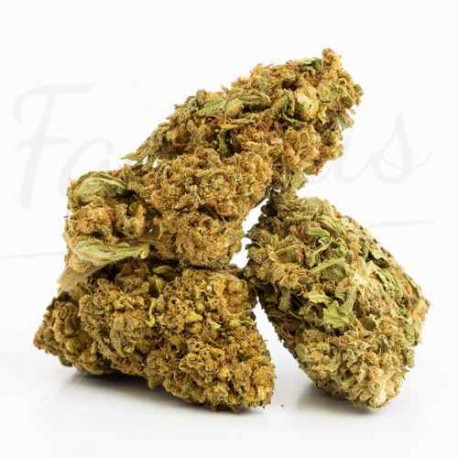 Fleur de CBD Cannatonic Intérieur 9 %