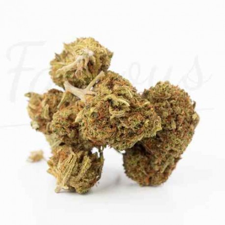 CBD-Blüte Pineapple Express 14,9 %