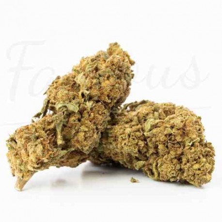 Fleur de CBD Granddaddy Purple 17,9 %