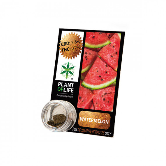 WATERMELON CBD-Harz 3,8% 1G