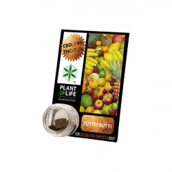 CBD-Harz Tuttifrutti 3,8% CBD-Harz Tuttifrutti 3,8% CBD-Harz Tuttifrutti 3,8% CBD-Harz Tuttifrutti 3,8% CBD-Harz Tuttifrutti 3,8