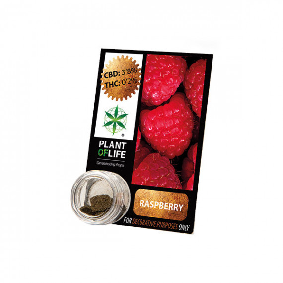 CBD-Harz RASPBERRY 3,8% 1G