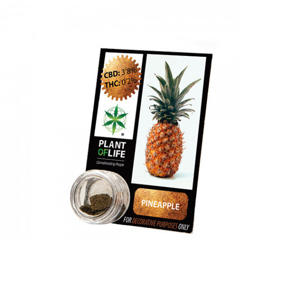 Résine CBD PINEAPPLE 3,8% 1G