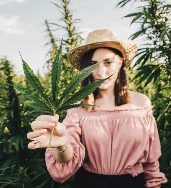 Le CBD peut-il combattre les symptômes de la ménopause ?