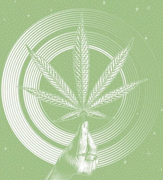 Pourquoi consommer du cannabis sans THC ?