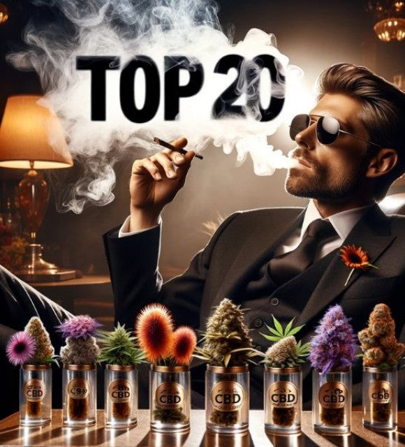 Le TOP 20 des meilleures variétés de CBD en France