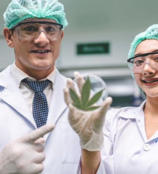 Tout savoir sur le CB9, le cannabinoïde fraîchement isolé dans le cannabis !