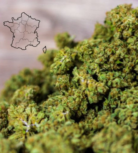 Chanvre : l’ANSM interdit une nouvelle vague de cannabinoïdes en France