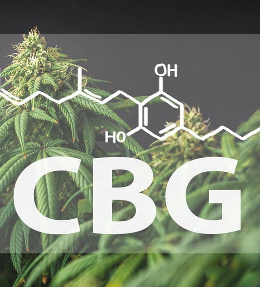 L'avenir du CBD est-il dans le CBG ou cannabigérol ?