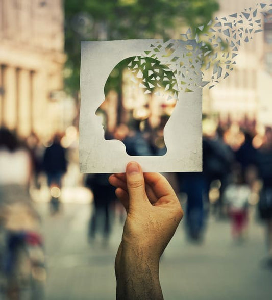 Le CBD : effets sur la mémoire