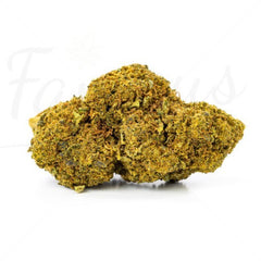 Budda Zen - Fleur CBD 19.5%