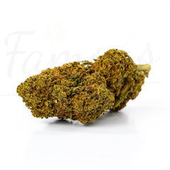 Gorilla Queen - Fleur CBD 21.7%