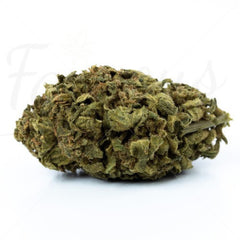 OG Kush - 15.4% CBD Flower
