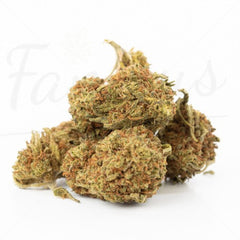 Gelato - Fleur CBD 17,2 %