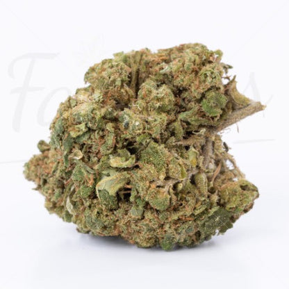 Critical CBD 17,2% - Fleur CBD Indoor