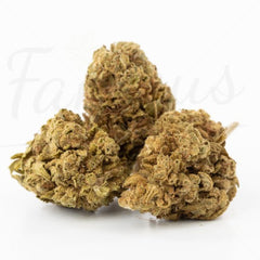 Apple Punch - Fleur CBD 13,5 %