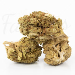 Black Diesel - Fleur CBD 15,4 %