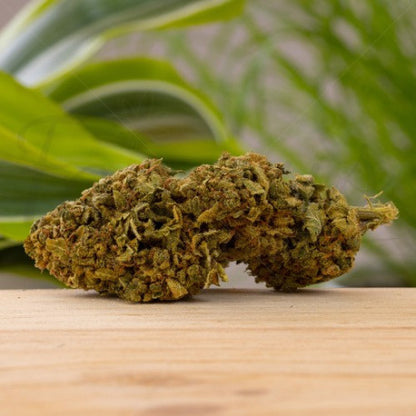 Amnesia Haze CBD 21,4% - Fleur CBD Indoor