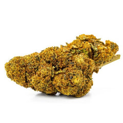 Orange Bud - 25% CBD Flower