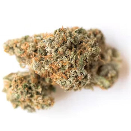 Biscotti CBD 13 % - Fleur CBD Greenhouse