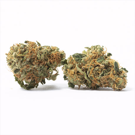 Amnesia Kush CBD 23,8 % - Fleur CBD Indoor