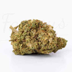 Afghan kush - Fleur CBD 18,4 %