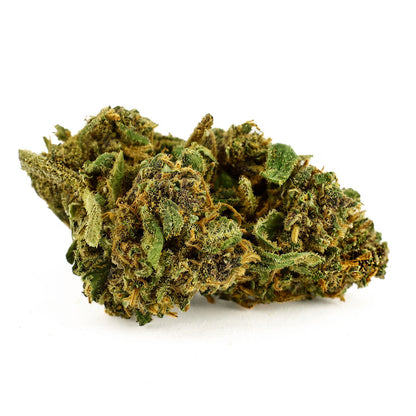 Blue Gelato Indoor - CBD Flower 20%
