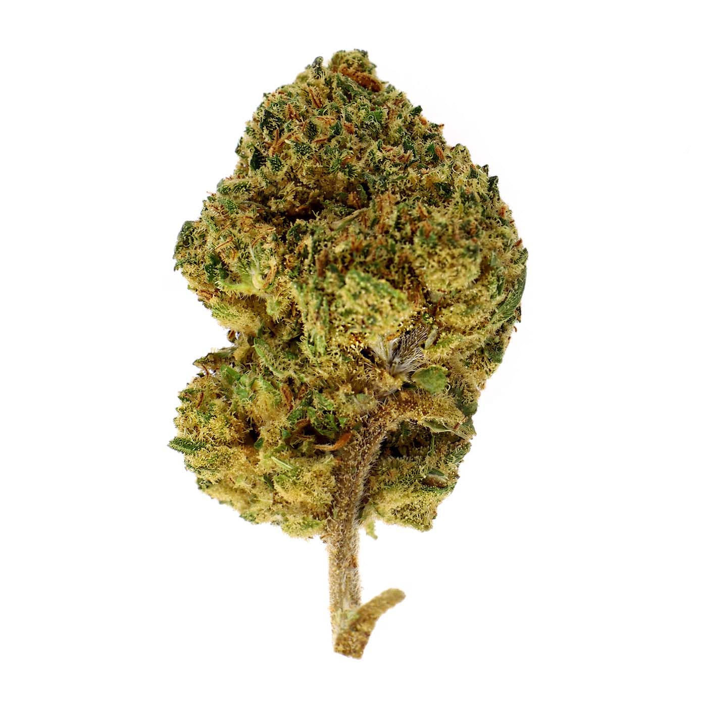 Super Amnesia – CBD-Blüte 13,2%