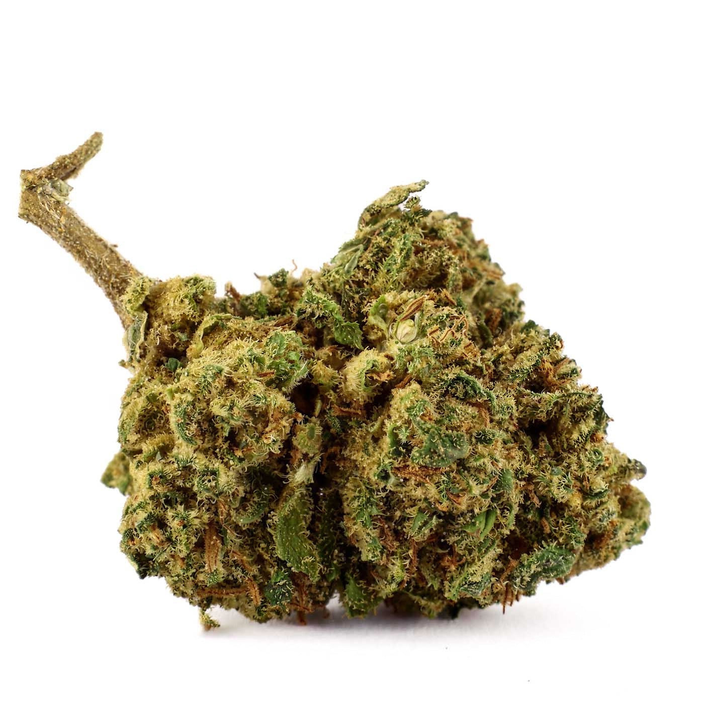 Amnesia Haze - Fleur CBD 21,4 %