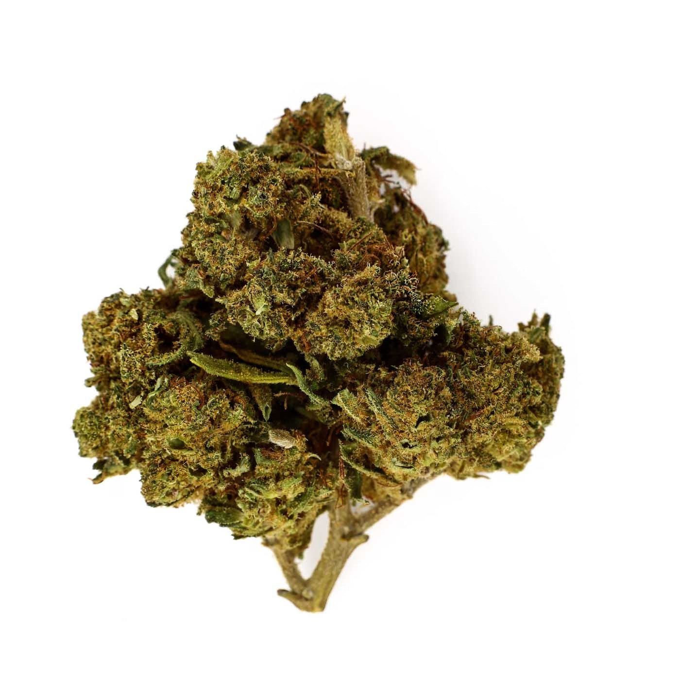 Amnesia Kush - Fleur CBD 23,8 %