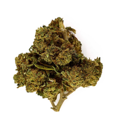 Amnesia Kush - Fleur CBD 23,8 %