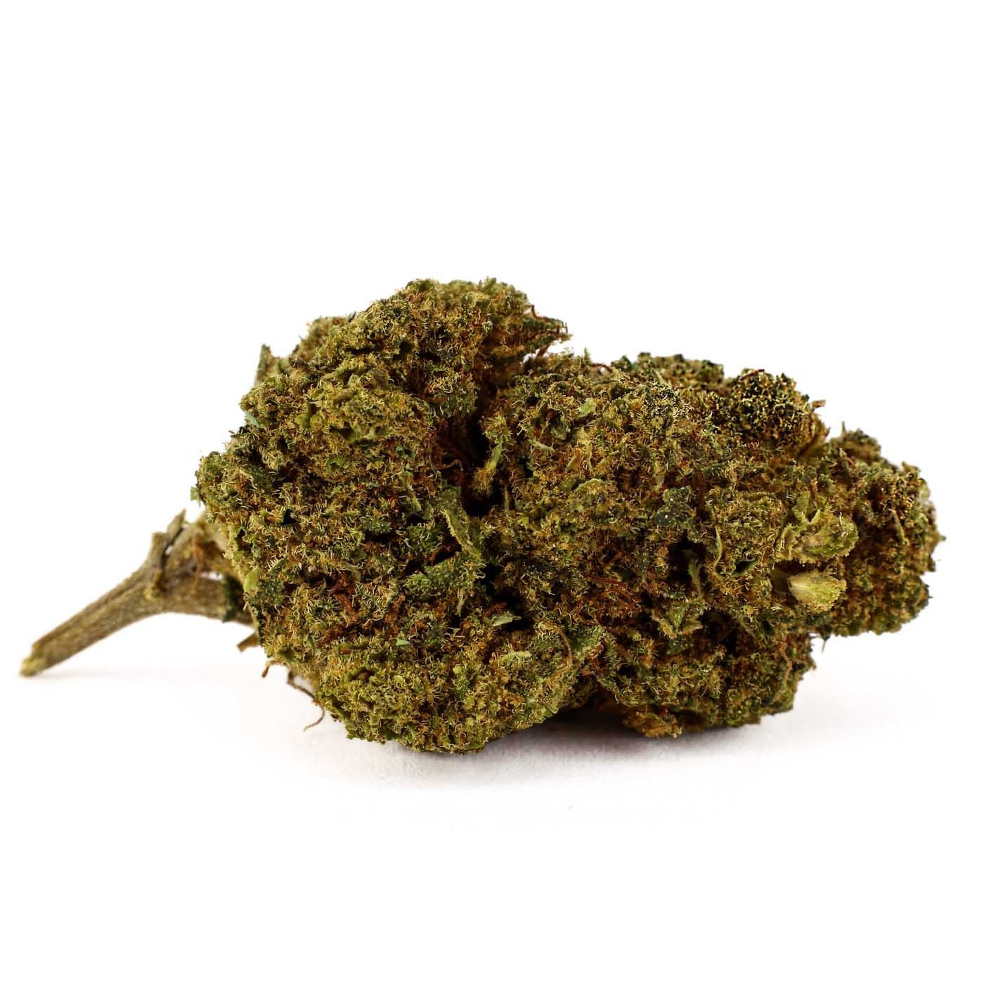 Amnesia Kush - Fleur CBD 23,8 %