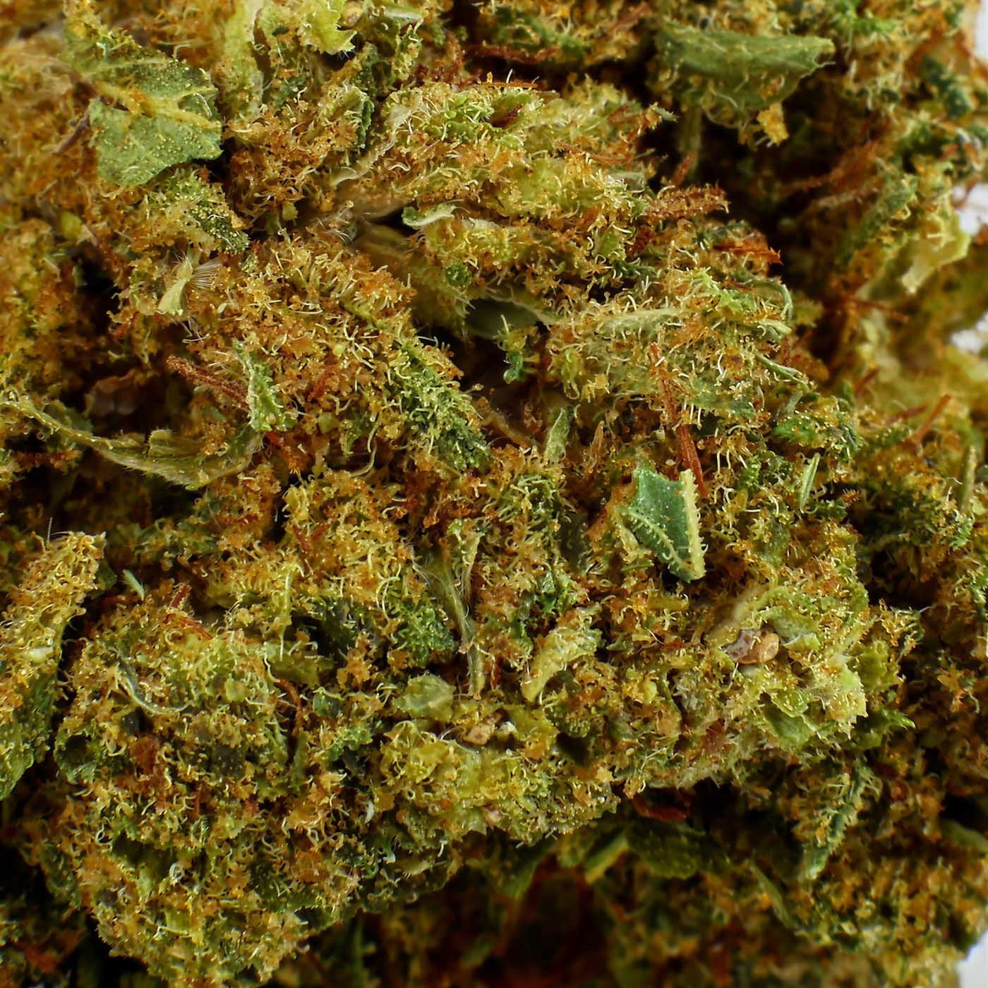 Amnesia Kush - Fleur CBD 23,8 %
