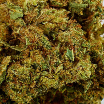Amnesia Kush - Fleur CBD 23,8 %