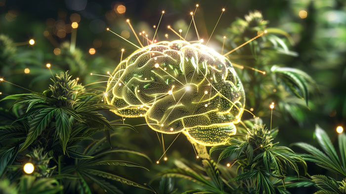 CBD und die Wissenschaft