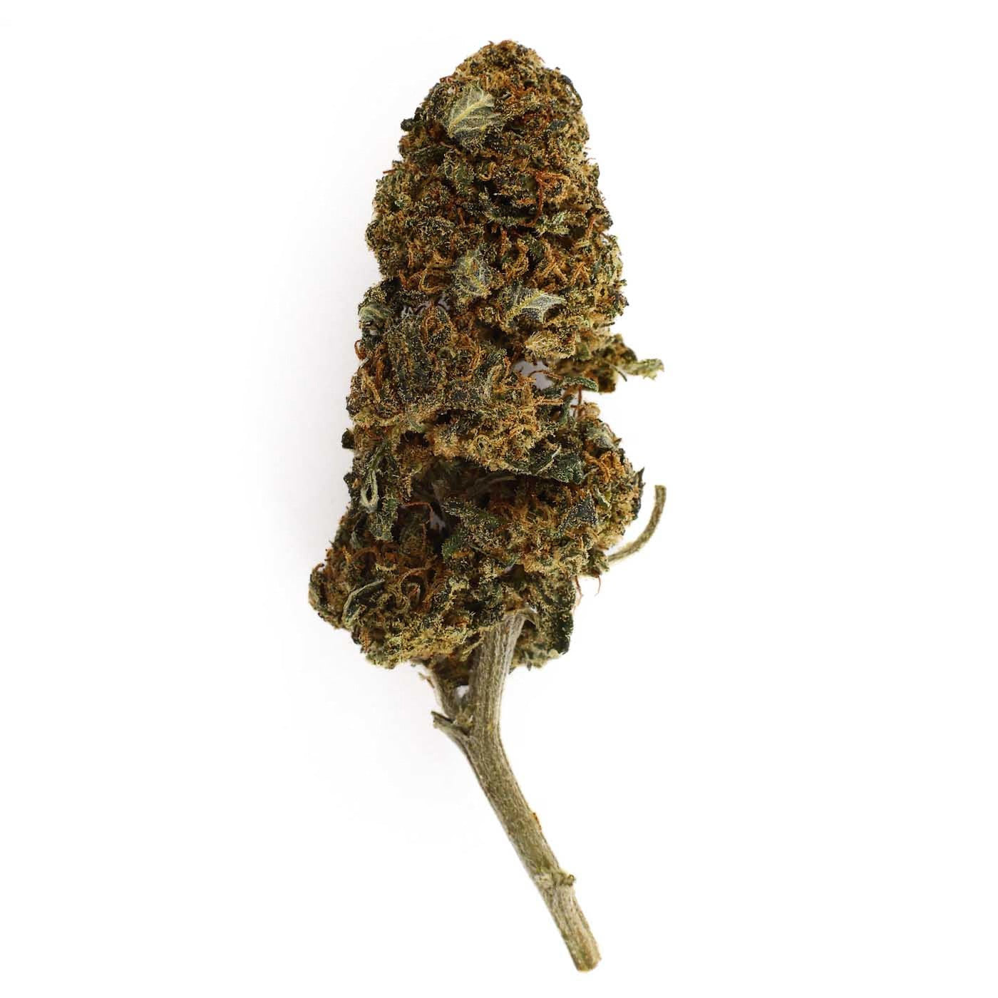 Critical – CBD-Blüte 17,2%